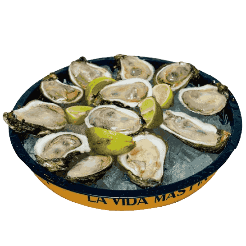 ostiones-en-su-concha-restaurante-islas-marías